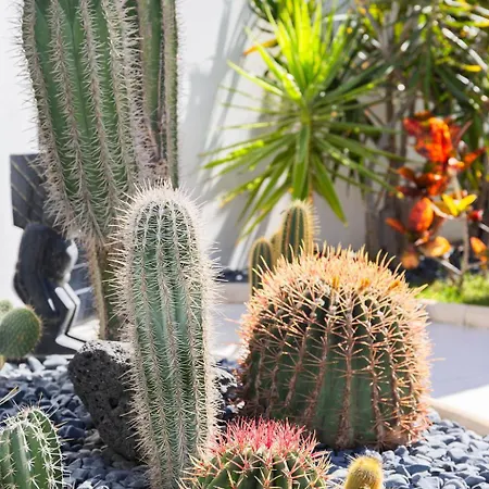 Beachside - Casa Aboleon Вилла Коральео